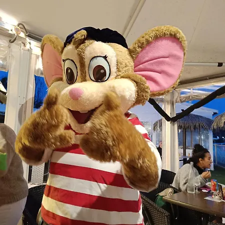 L'incontournable Confort Siblu Frejus